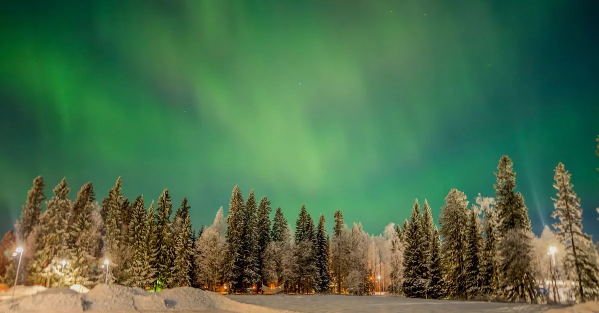 Éblouissante aurore boréale sur une forêt enneigée à Boden, Suède, la nuit