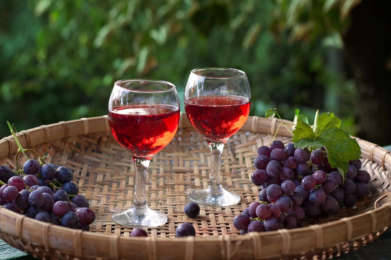 Les secrets du lambrusco : la fraîcheur pétillante de l'Italie en bouteille